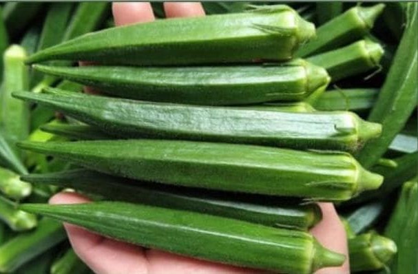 Okra