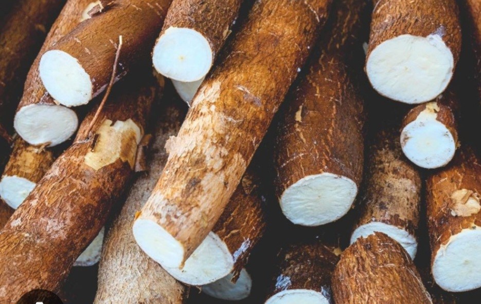 Cassava