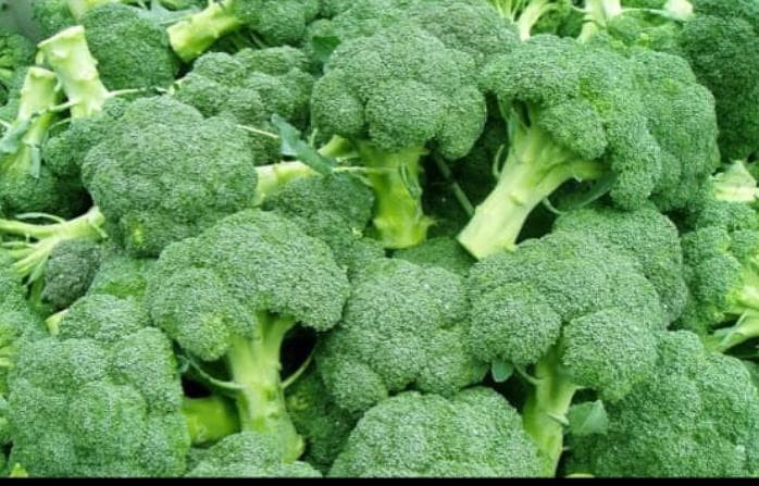 Broccoli - kg at KSh 150.00