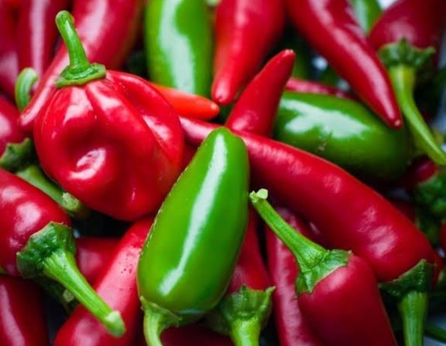 Bullet Chilli - kg at KSh 350.00