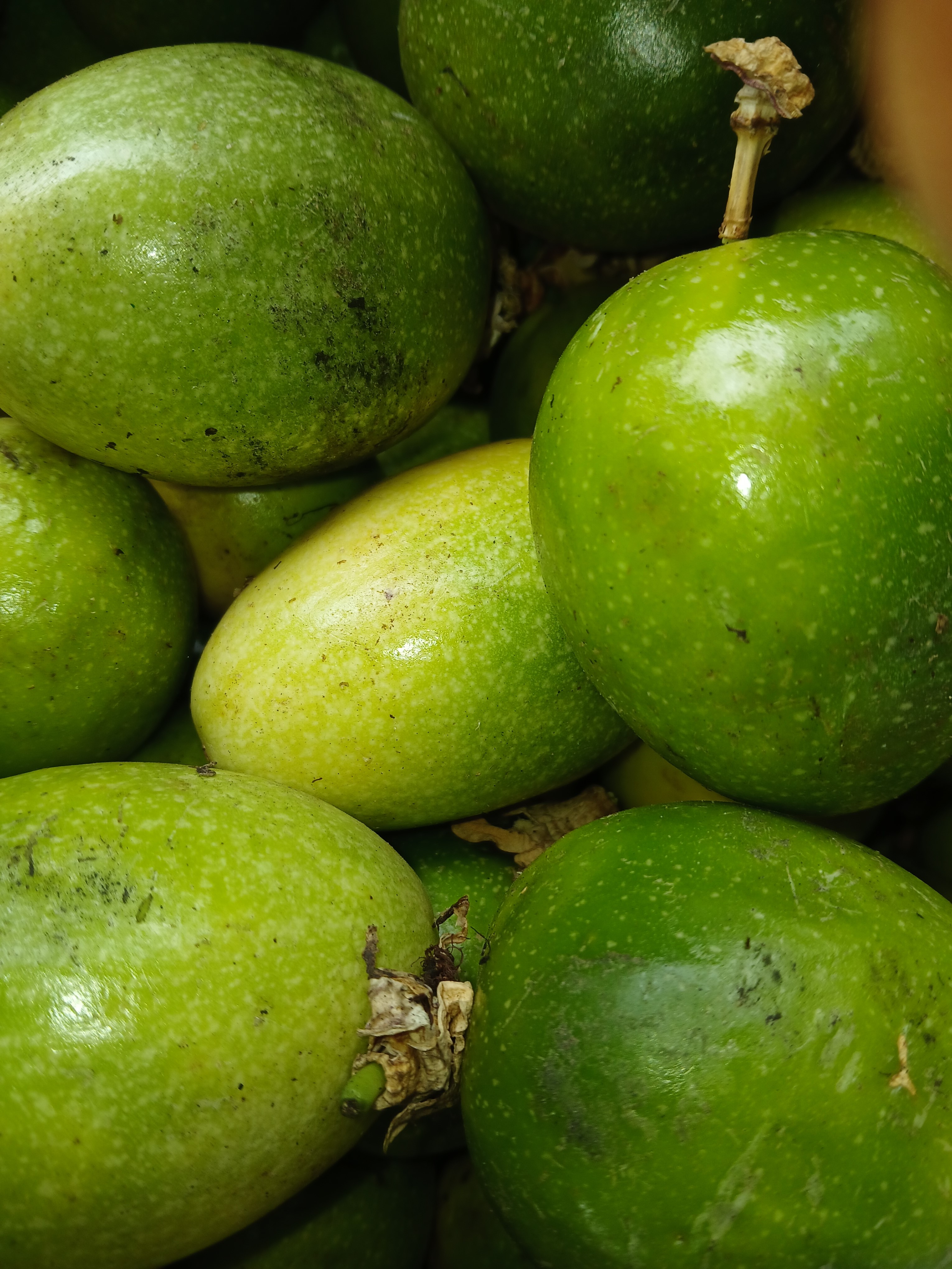 Yellow passion (Sour)