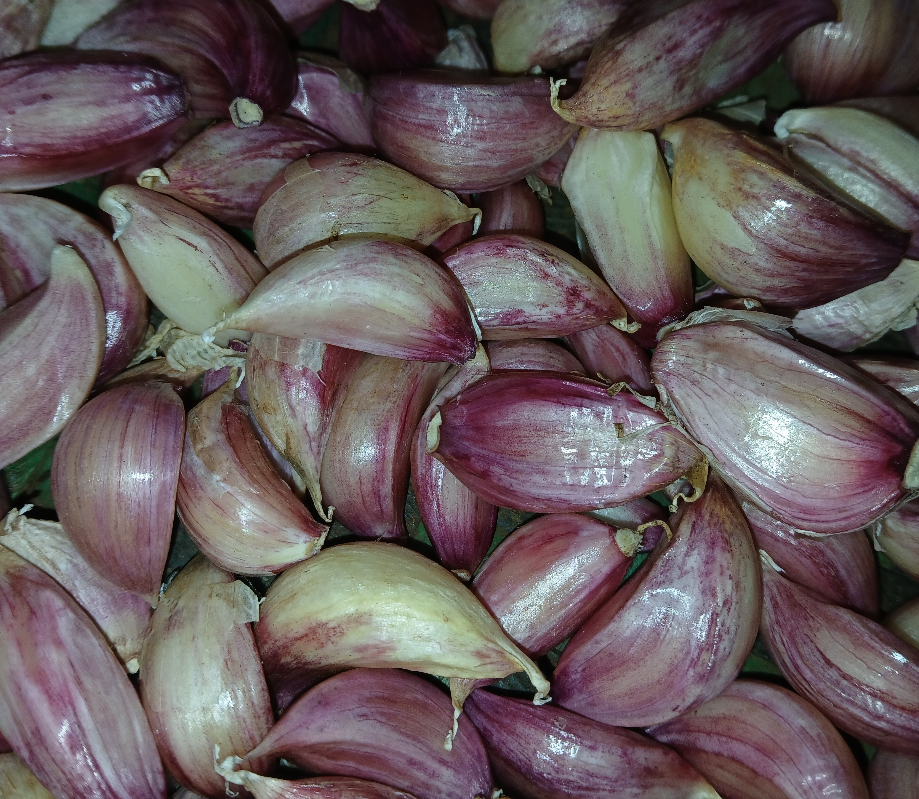 Garlic Cloves