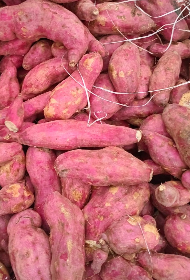 Sweet Potatoes