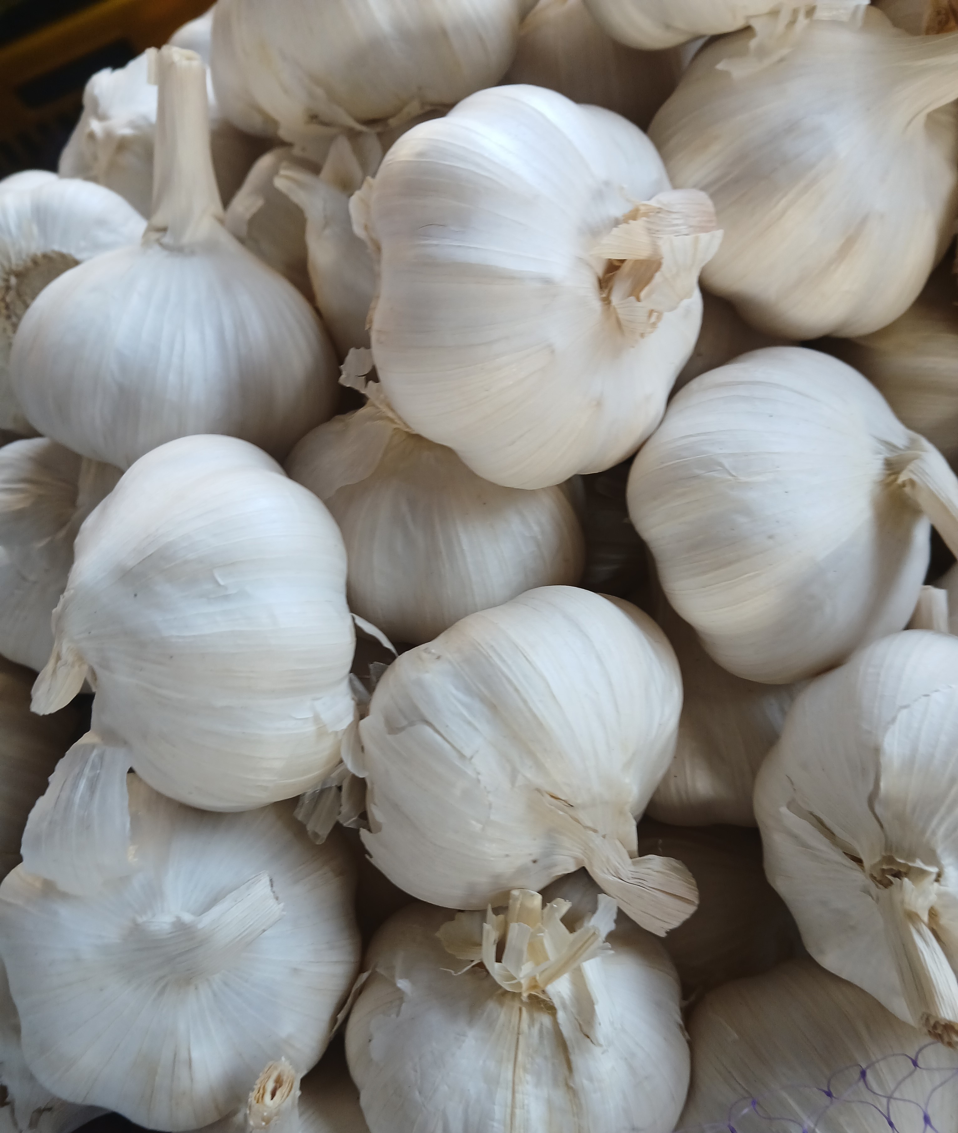 China Garlic - kg at KSh 400.00